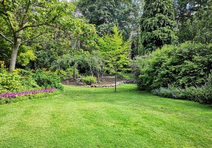 Optimiser l'expérience du jardin à Vouthon